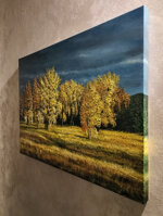 luce-dautunno-autumn-light