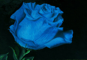 365673d2-30c7-4da7-8154-96ff4b1d9222 365673d2-30c7-4da7-8154-96ff4b1d9222