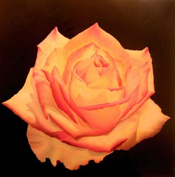 1420a5c1-184d-4ad1-b57d-bc25bcc7c110 1420a5c1-184d-4ad1-b57d-bc25bcc7c110