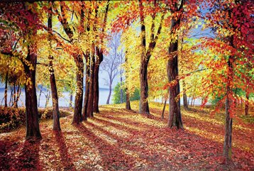 809fdf00-e2a5-4187-bf86-78ed4554cd3b.jpeg 809fdf00-e2a5-4187-bf86-78ed4554cd3b.jpeg