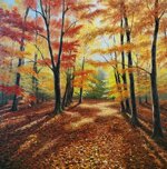 policromie-dautunno-autumn-polychromes