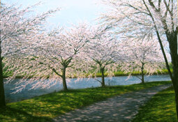 42e46196-3fea-4e84-ae2c-992e4bde851f 42e46196-3fea-4e84-ae2c-992e4bde851f