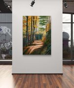 filtri-di-luce-light-filters