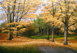 5023d06b-054d-463c-8034-b2a7b1f86094 5023d06b-054d-463c-8034-b2a7b1f86094