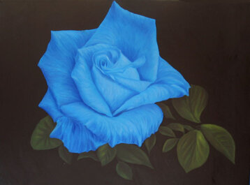 08afc118-879e-43f2-9141-534189b9c84e 08afc118-879e-43f2-9141-534189b9c84e