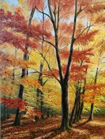 policromie-dautunno-autumn-polychromes