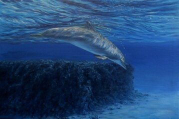 d10891a3-0704-4d9f-b4d4-1912b3baa803