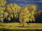 luce-dautunno-autumn-light