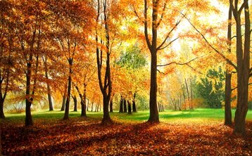 e8345584-19f0-42b4-88d2-3ecc445f317e e8345584-19f0-42b4-88d2-3ecc445f317e