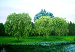 88579f6f-7bdd-472b-bb92-f7858478abf5 88579f6f-7bdd-472b-bb92-f7858478abf5