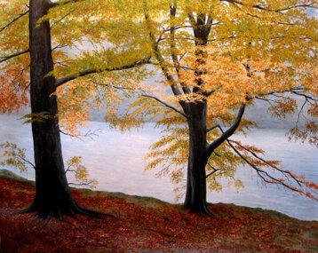 175fc319-7d0a-46f3-9649-7a45db28e6b4 175fc319-7d0a-46f3-9649-7a45db28e6b4