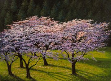 288f2f42-8611-4543-b25e-7cbfcbaf5e11.jpeg 288f2f42-8611-4543-b25e-7cbfcbaf5e11.jpeg