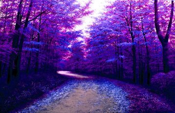 c2edc5e3-8e59-4339-bdc3-8e2d23d06973 c2edc5e3-8e59-4339-bdc3-8e2d23d06973