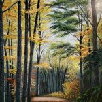 filtri-di-luce-light-filters