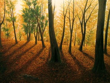 60a22a2d-27f7-40ec-9872-28d881f613e4 60a22a2d-27f7-40ec-9872-28d881f613e4