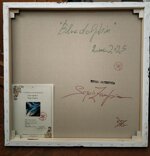 il-delfino-blu-blue-dolphin