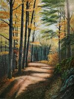 filtri-di-luce-light-filters