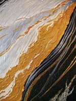 il-camaleonte-chamaleon