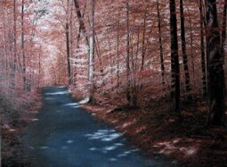 a6f22f44-cf48-4926-8e9c-597730159a52 a6f22f44-cf48-4926-8e9c-597730159a52