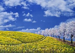 3c43b19a-355a-490c-bdff-cf9f2edf8f44 3c43b19a-355a-490c-bdff-cf9f2edf8f44