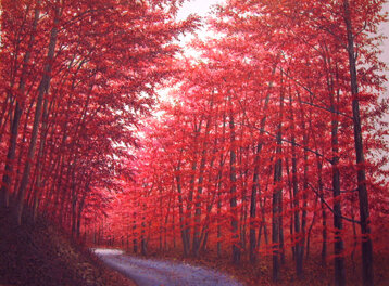 a105a397-5ac3-4332-8737-23ef1b67df7d a105a397-5ac3-4332-8737-23ef1b67df7d