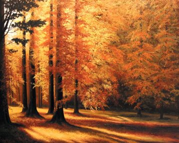 2c3f89a3-c146-4df0-a212-3d3466647019 2c3f89a3-c146-4df0-a212-3d3466647019