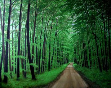 cdbd8d30-d815-4c2a-ac3e-3f7c2c7445fb cdbd8d30-d815-4c2a-ac3e-3f7c2c7445fb