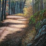 filtri-di-luce-light-filters