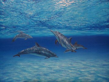 ebb732b7-ab4a-4b96-9ceb-d13a6b32aa3c