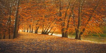 7fba419d-71c1-4109-ba1d-d5b18197283d 7fba419d-71c1-4109-ba1d-d5b18197283d