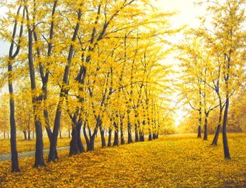 8394b464-8bbd-48d3-b026-fcf0a7768761 8394b464-8bbd-48d3-b026-fcf0a7768761