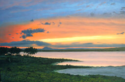 ec560b9d-c56e-46f0-a383-4d7ab9016ee6 ec560b9d-c56e-46f0-a383-4d7ab9016ee6