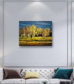 luce-dautunno-autumn-light