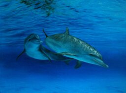 9406ae47-75a1-41b9-9e73-9112ac641d7e