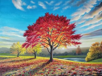 858cfe2b-92fa-4681-89b7-c20e06deb5c1 858cfe2b-92fa-4681-89b7-c20e06deb5c1