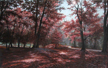 c24def19-ccd8-44c3-9524-017b62f373cd c24def19-ccd8-44c3-9524-017b62f373cd