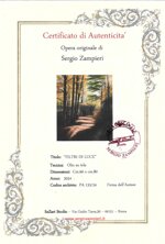 filtri-di-luce-light-filters