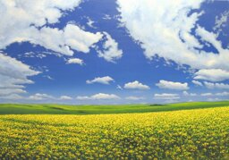 52dfa532-9b79-4292-bb7b-a66e04eff158 52dfa532-9b79-4292-bb7b-a66e04eff158