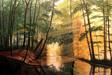 fc832fd6-873c-4859-972a-be9f4c5b812c fc832fd6-873c-4859-972a-be9f4c5b812c