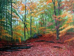 9a5be039-9673-413a-8c82-54b19f8368a2 9a5be039-9673-413a-8c82-54b19f8368a2