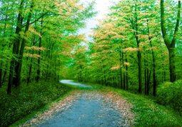 27e9261a-f7e7-4d1f-8bd2-4aed318e80cf 27e9261a-f7e7-4d1f-8bd2-4aed318e80cf