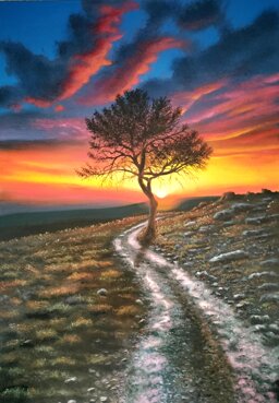 8c9e556b-320f-45ea-a33a-6725cdbf064a 8c9e556b-320f-45ea-a33a-6725cdbf064a