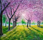 il-giardino-dei-ciliegi-cherry-blossoms