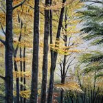 filtri-di-luce-light-filters