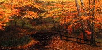 c8dd4054-9cc8-4a6b-b5a8-5f0819051028 c8dd4054-9cc8-4a6b-b5a8-5f0819051028