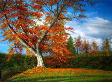 935433b4-be89-4b1e-bc83-9bbadd7a5538 935433b4-be89-4b1e-bc83-9bbadd7a5538