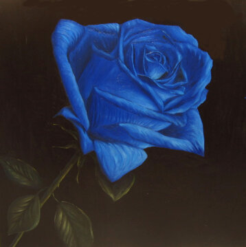 b978907a-226b-4db1-8d34-cd719161d339 b978907a-226b-4db1-8d34-cd719161d339