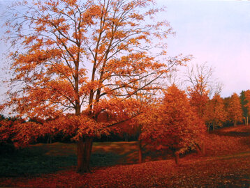 a45ad819-915f-4069-8ace-8b0df99ab1cf a45ad819-915f-4069-8ace-8b0df99ab1cf