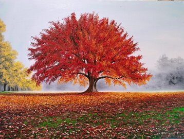 07fa3057-5d52-476f-93d3-8d59c340d42a 07fa3057-5d52-476f-93d3-8d59c340d42a