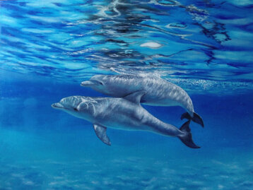 707035b6-f9fc-4e7a-b7f4-94e4f667fb86